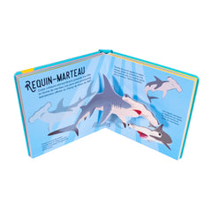 Requins