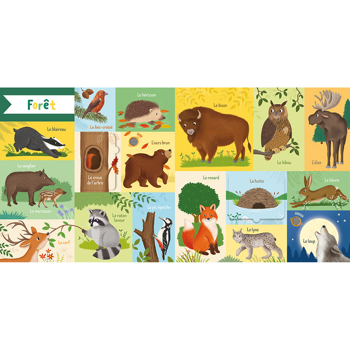 Flaps et Sons - 101 mots - Animaux