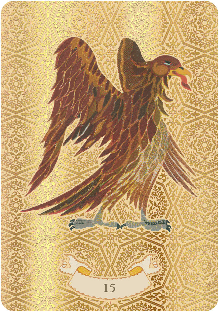 Coffret l'oracle doré de Nostradamus