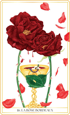 L'oracle des roses médecine