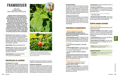 L'encyclopédie de l'herboristerie - 160 plantes médicinales, 700 remèdes à faire soi-même, 25 préparations de base &middot; Identifier, cueillir, préparer, se soigner &middot; Traiter et soulager tous les maux du quotidien