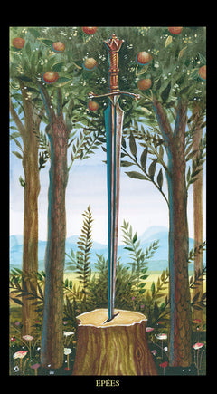 Coffret Le Tarot de Botticelli