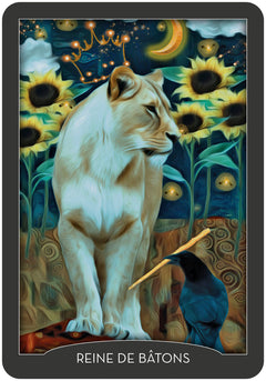 Coffret Tarot des gardiens de la nuit