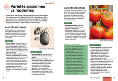Produire des légumes en abondance - Naturellement sans engrais ni pesticides, récolter toute l'année sur une petite surface, choisir des variétés productives