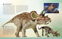 En tête à tête avec les dinosaures