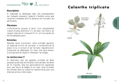 Le Petit guide des orchidées