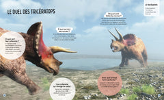 Questions Réponses : Tous les dinosaures