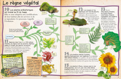 Les plantes