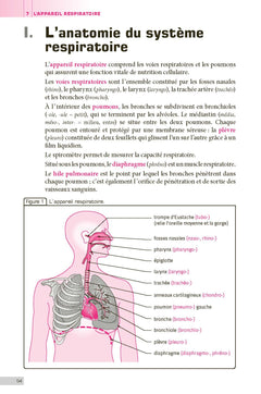 Terminologie médicale et physiopathologie