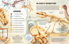 Le monde des dinosaures