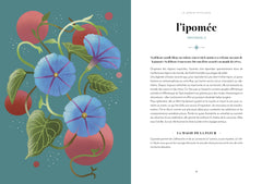 La magie des fleurs - La symbolique des plantes