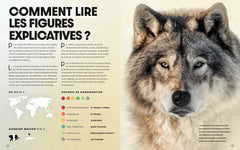En tête à tête avec les animaux