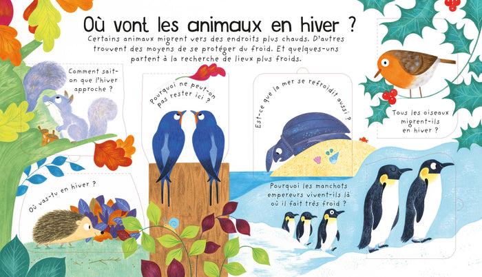 Où vont les animaux en hiver ?