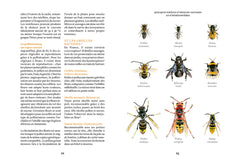 Accueillir des abeilles - Favoriser leur bien-être et pratiquer l'apiculture naturelle