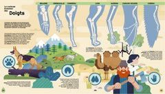 Biodiversité - L'évolution des espèces illustrée
