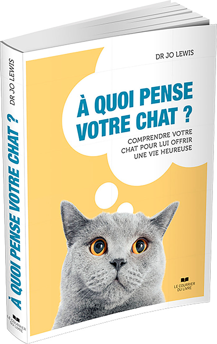 À quoi pense votre chat ?