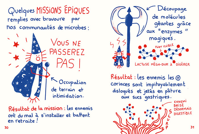 Fermenter presque tout avec presque rien