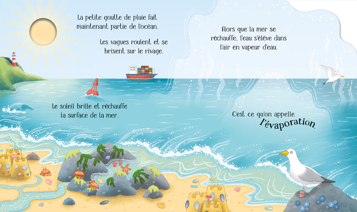 La goutte de pluie - Le cycle de la vie