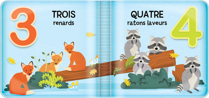 Les amis de la forêt