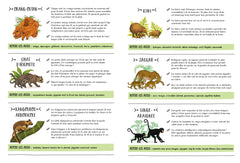 Dans la jungle secrète