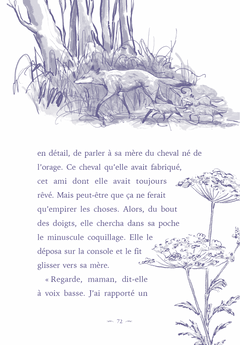 Cheval d'orage (relié)