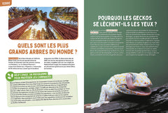 Les mystères de la nature