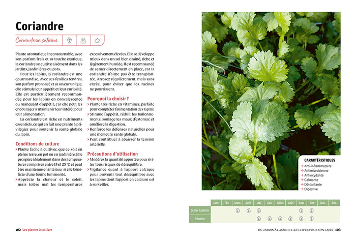 L'assiette nature du lapin heureux - Guide pour une alimentation saine et variée