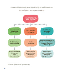 Les élèves à haut potentiel intellectuel à besoins éducatifs particuliers