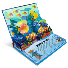 La nature en pop-up - Mer
