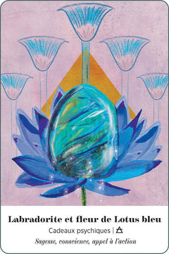 L'oracle alchimique de la Terre