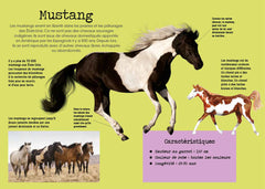 Construis en 3D - Chevaux
