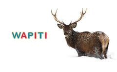 Mon imagier - 75 mots à lire dès 3 ans