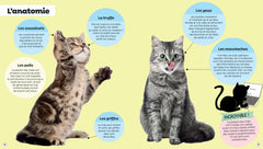 Tous les chats