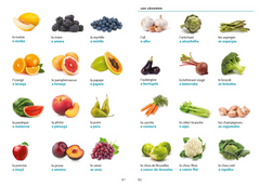 Le robert & collins dictionnaire visuel portugais