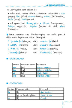 Maîtriser l'allemand - Un guide tout en 1 : grammaire, difficultés, conjugaison