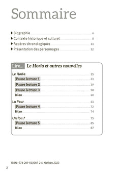 Le Horla - La peur - Un fou ?