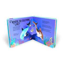 10 pop ups - Dolphins