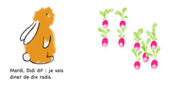 10 radis pour Didi