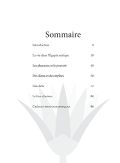 Les hiéroglyphes de l'Egypte antique