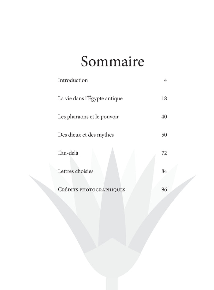 Les hiéroglyphes de l'Egypte antique
