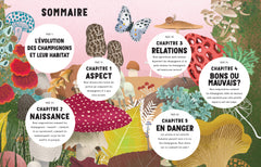 Le secret des champignons