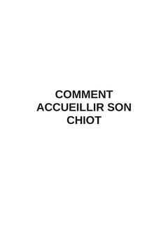 Comment accueillir son chiot étape par étape