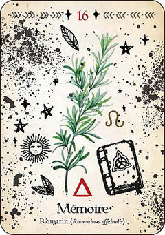 Oracle de la magie verte - Découvrez les vrais secrets de la magie botanique