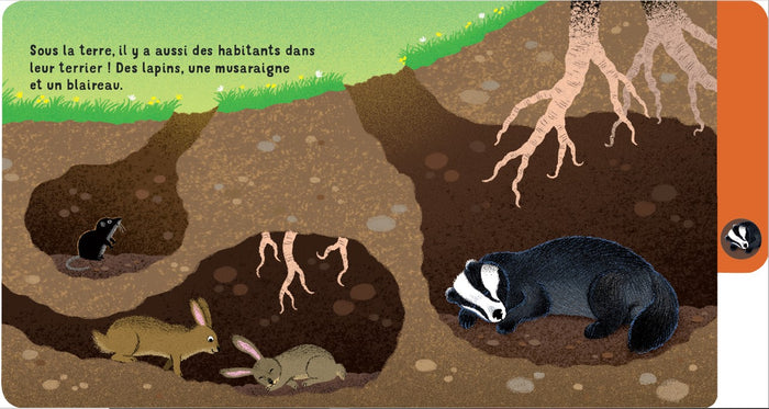 Une journée en forêt