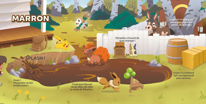 Pokémon – Mes premières notions – Les couleurs