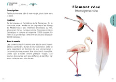 Le Petit guide des plumes - 70 trouvailles à identifier