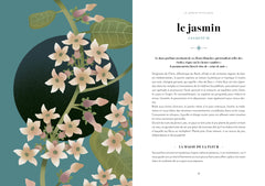 La magie des fleurs - La symbolique des plantes