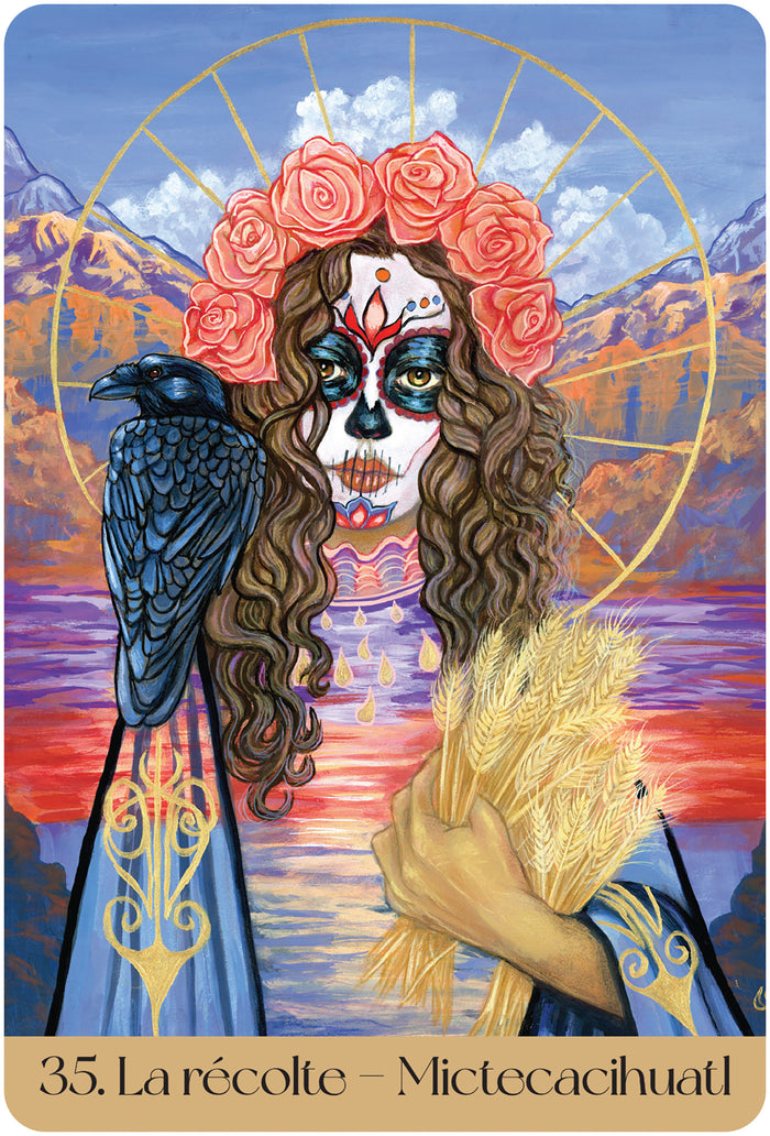 L'oracle des Dames de la Roue - Cheminer au fil des cycles annuels