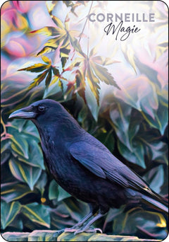 L'oracle du peuple des sages