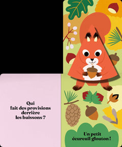 Cache-cache forêt
